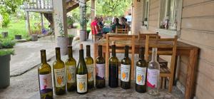 Guest House In Tbilisi