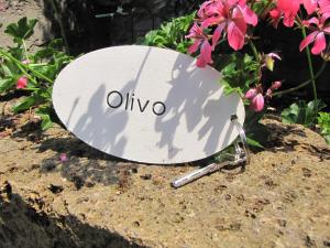 Madonna DellAiuto True View Olivo