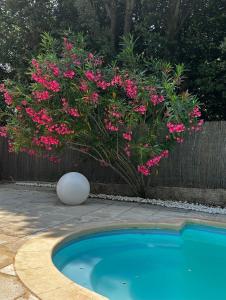 Cocon cosy appart romantique, jacuzzi piscine