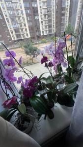 Просторные светлые апартаменты на берегу моря