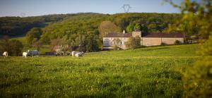 B&B / Chambres d'hotes Les maisons vigneronnes : photos des chambres