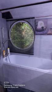 Péniche Morgane 2 SAS Les Bêtises