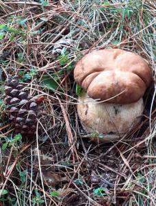 B&B Nonna Iolanda img38