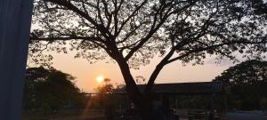 Nan Homey Space น่านโฮมมี่สเปซ