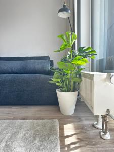 Hi Park Apartment, Free Parking