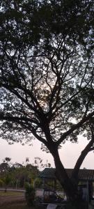 Nan Homey Space น่านโฮมมี่สเปซ