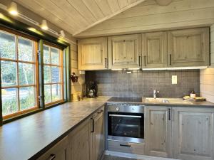 Briskebu, cosy cabin by ski slopes