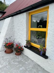 The Hollow, Fisherstown, County Laois