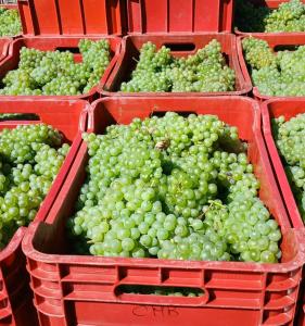 1929 Wine Food Relax Agriturismo