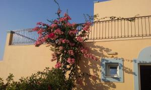 Meltemi Apartments Kalymnos Greece