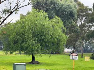 Mooroolbark 火车站附近的阳光大床房