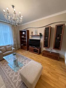 Elegant apartment in the city center