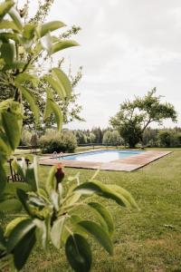 Chalet Zugspitze, Kamin, Tiere