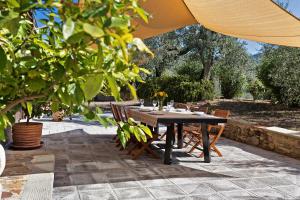 Le Colline di Vinci - Leonardo Flat