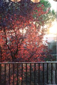 Monika Holiday 12 Beatrice Home