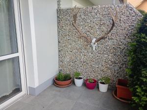 little lake Faakersee