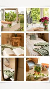 Dzika Warmia- Retreat in the Wild