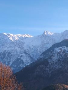 The Tushar Homestay