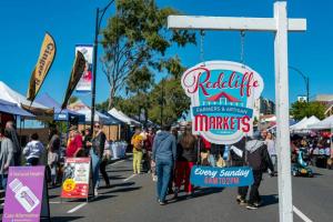 Cozy guest suite in Margate