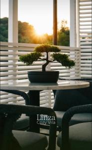 Linza Cozy Vila