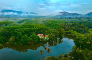 Foresta Thattekkadu Pool Resort