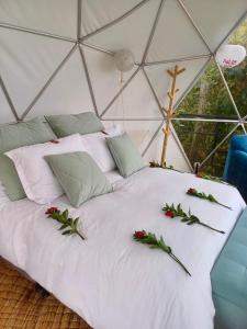 Luz de Luna Glamping