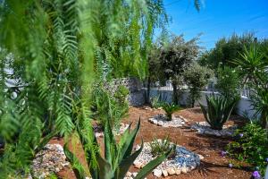 Goccia dUlivo- Gocce in Puglia