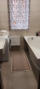 Krisjana Valdemara 40