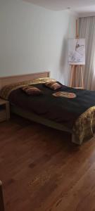 Krisjana Valdemara 40