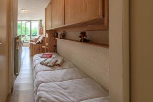 Le Pré du bois des Carroz - Proche Aquacîme