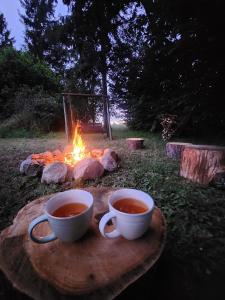 Mech na dachu - domek letniskowy