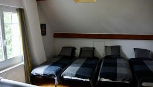 Isolated cottage for partying, lake, nature