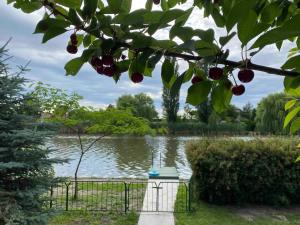 Két Fenyőfa Vendégház Vízparti Nyaraló
