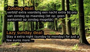 Diamond Suite in the woods