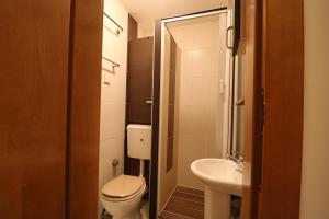 Studio Apartman Vladar