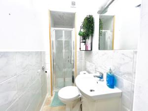 Central apartment in Dublin