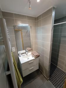 Maison 4 à 6 places proche TRAM 2