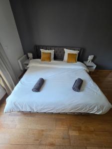 Grand appartement Proche Paris CDG Disney