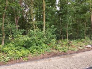 De Appelgaard Voeren Estate