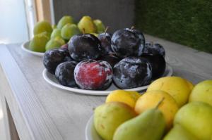 B&B La Terrazza Degli Scrittori