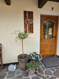 Haus Wiesenheim FW Ötztal