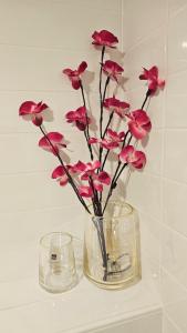 Le Bachely - Meublé de tourisme classé 3 étoiles