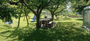 Agriturismo IL CERRO