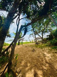 Revival Beach Resort