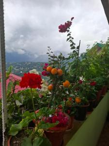 Bungkhim Urban Garden Homestay