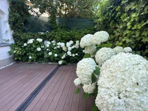 Luxury 130 m2 Apartment with Garden