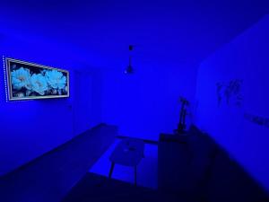 Charmante Wohnung mit kleiner Terasse im Herzen Freiburgs