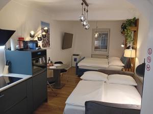 Lidmansky 3 - Tinyhomes Klagenfurt