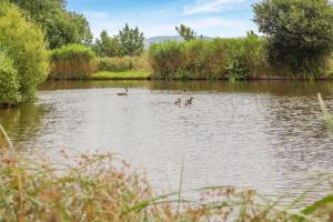 3 Bed in Shebbear oc-l32583