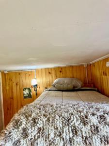 Refugio Parque Tepuhueico Zona Costa